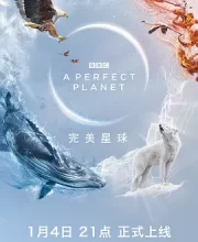 完美星球 (2021)(9.6分)