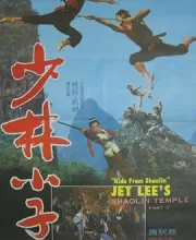 少林小子 (1984) (7.2分)