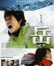 岳：冰峰救援 (2011)(7.5分)