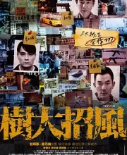 树大招风 (2016)(8.1分)