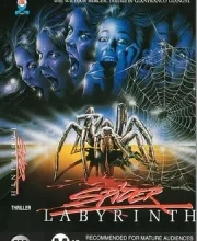 蜘蛛迷宫 (1988)