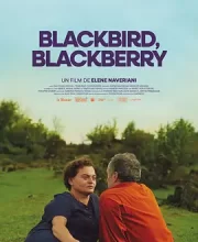 黑鸟黑鸟黑莓 (2023)